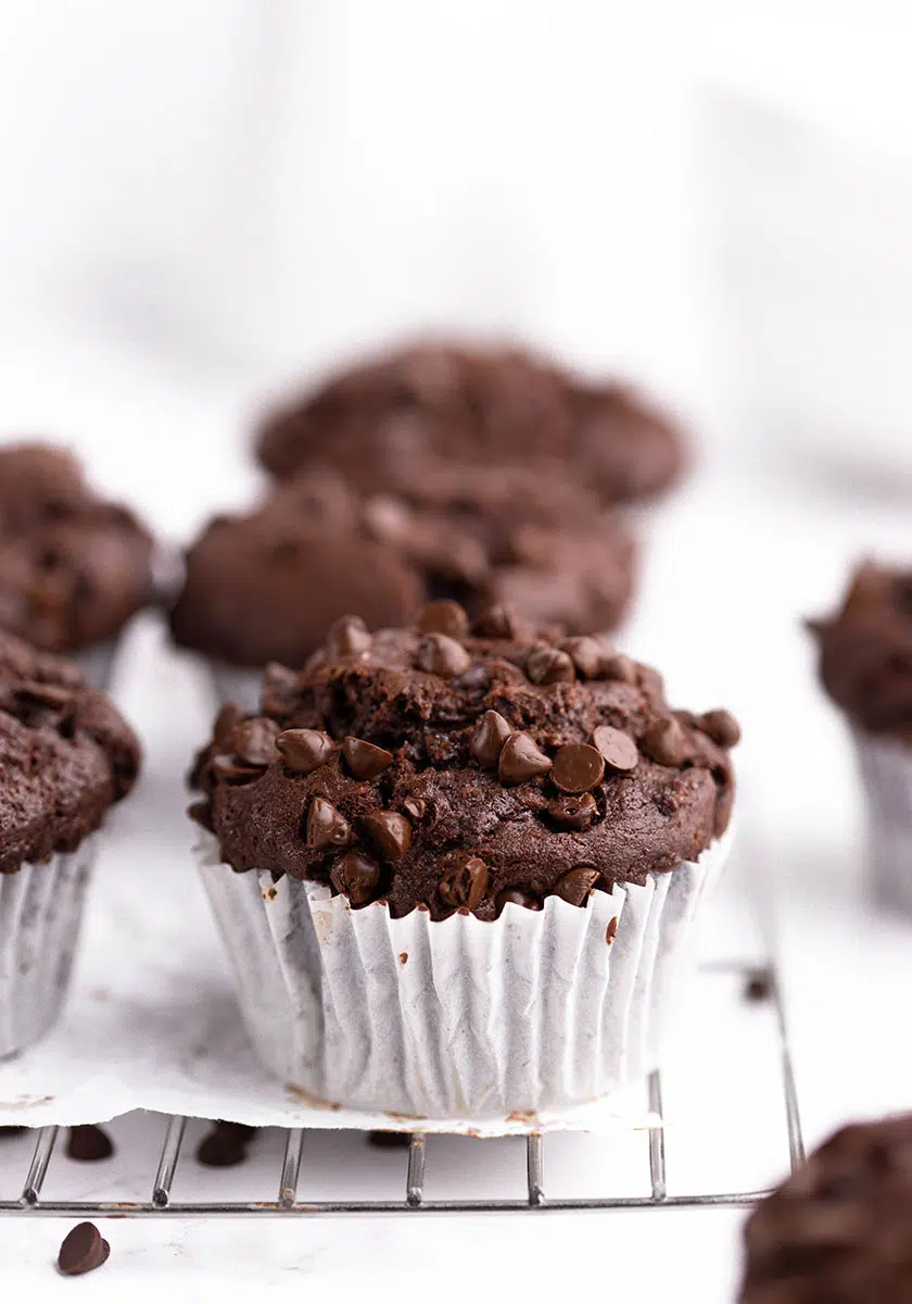 vegan double chocolate muffins
