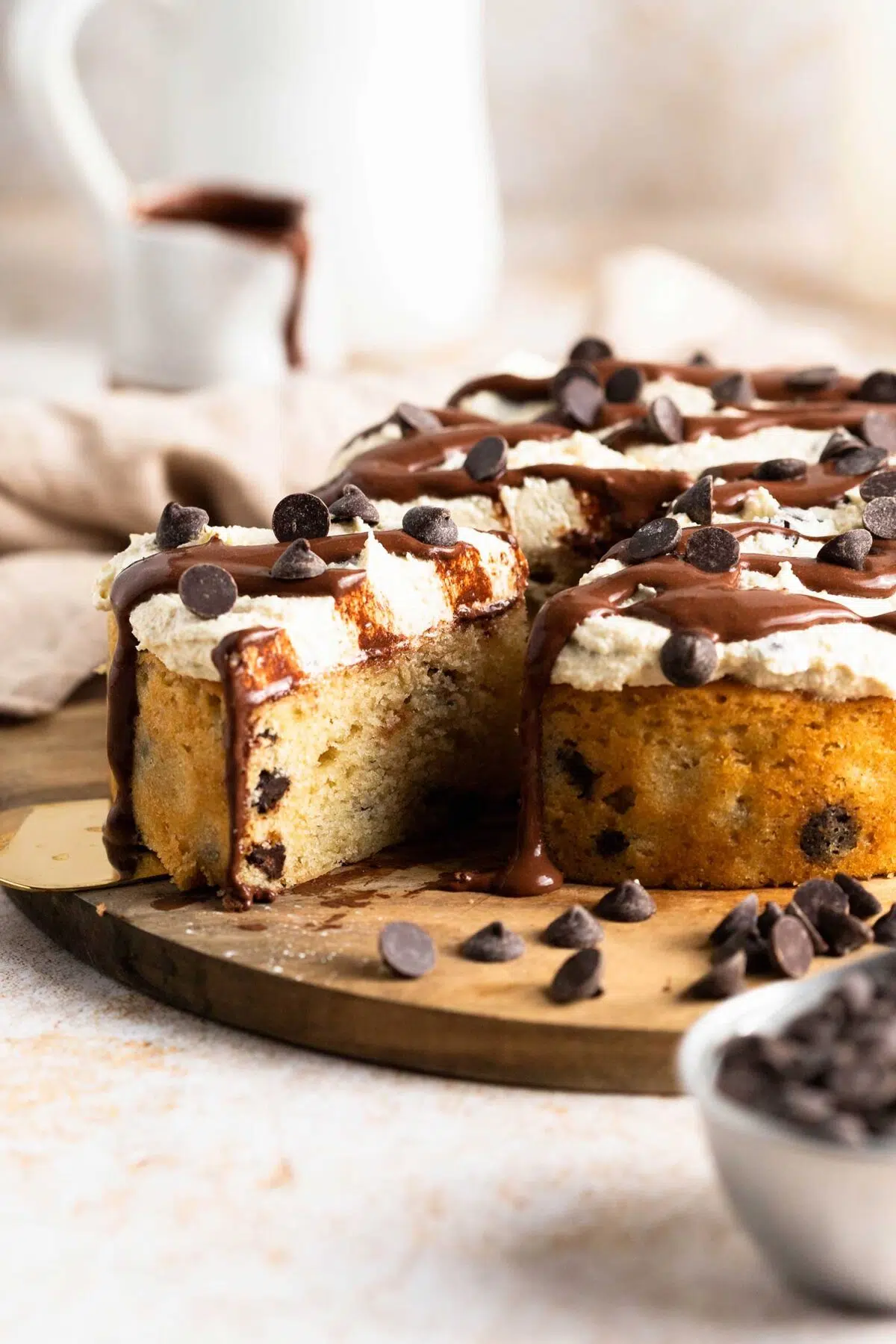 chocolate chip cake