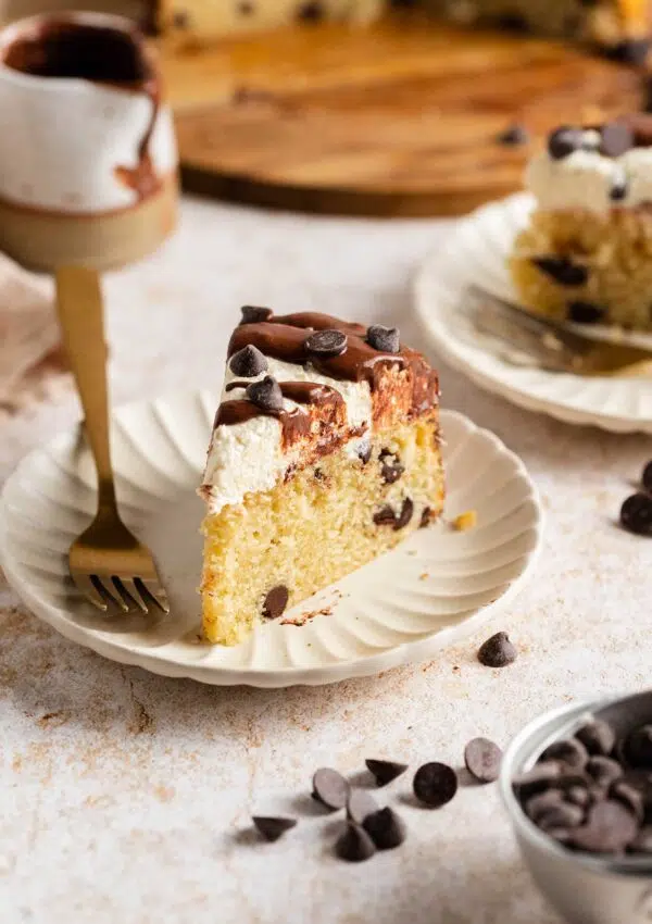 chocolate chip cake vegan