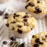 chocolate chip muffins daily free